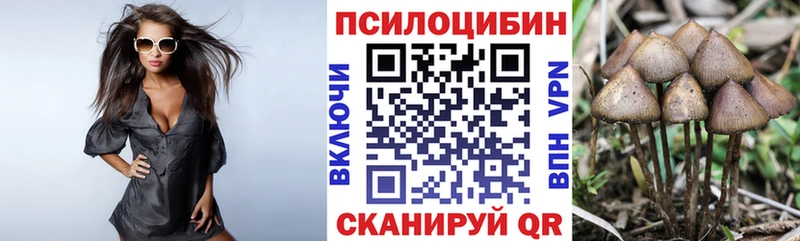 Псилоцибиновые грибы прущие грибы  Купить  Ухта 